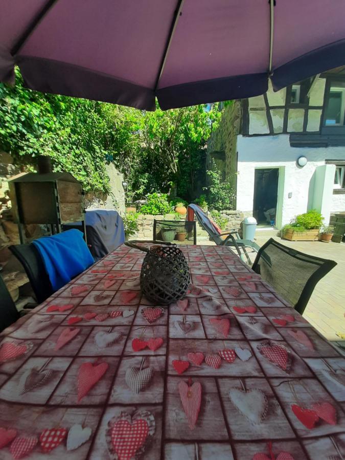Studio Tout Confort 2 Personnes Au Coeur De L'Alsace Wolxheim Bagian luar foto