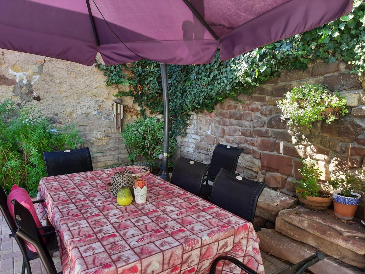 Studio Tout Confort 2 Personnes Au Coeur De L'Alsace Wolxheim Bagian luar foto