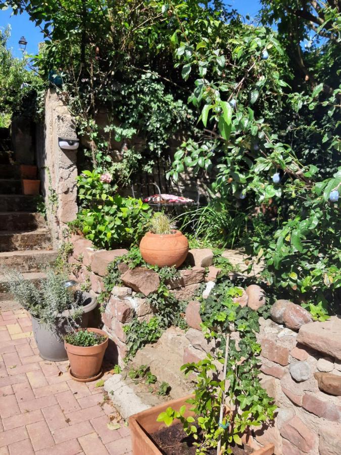 Studio Tout Confort 2 Personnes Au Coeur De L'Alsace Wolxheim Bagian luar foto