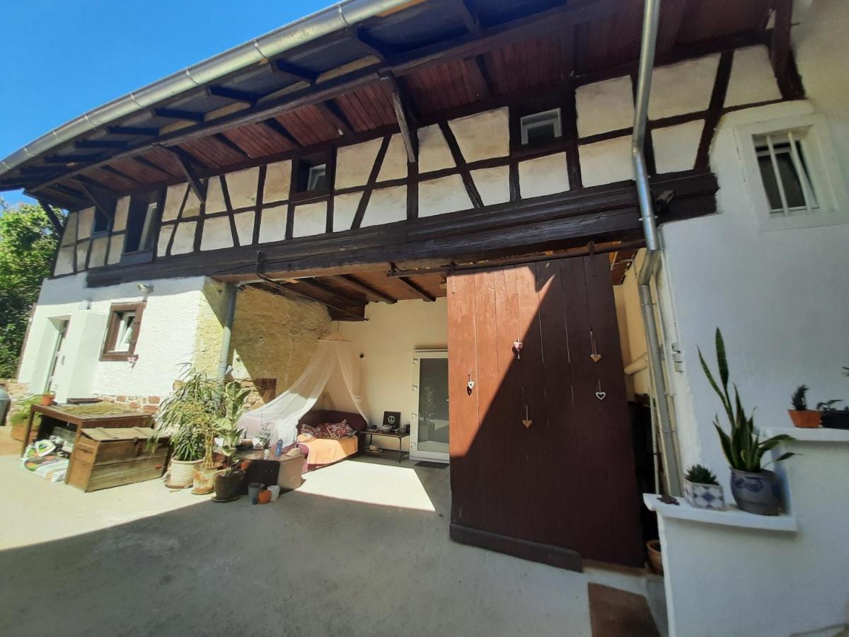 Studio Tout Confort 2 Personnes Au Coeur De L'Alsace Wolxheim Bagian luar foto