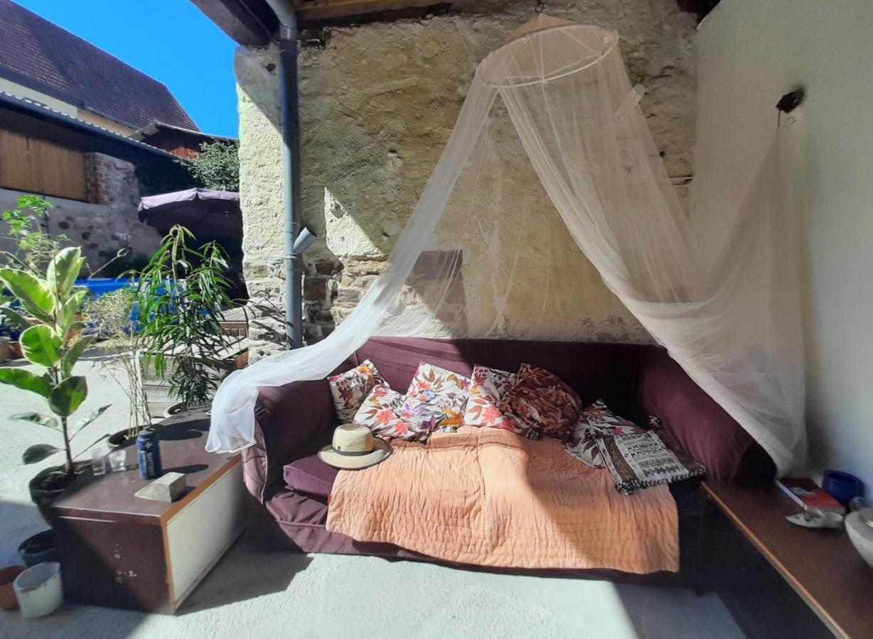 Studio Tout Confort 2 Personnes Au Coeur De L'Alsace Wolxheim Bagian luar foto