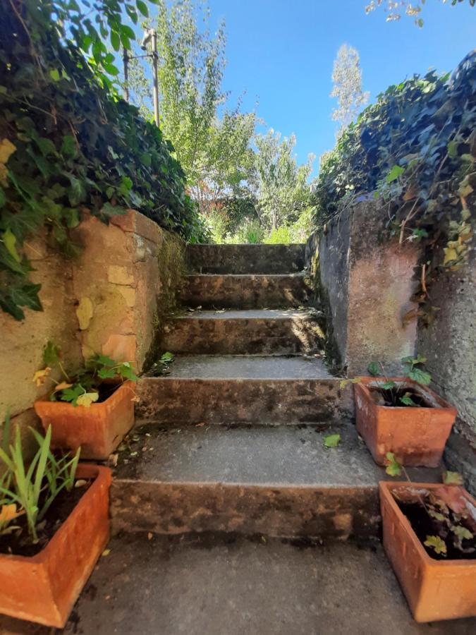Studio Tout Confort 2 Personnes Au Coeur De L'Alsace Wolxheim Bagian luar foto