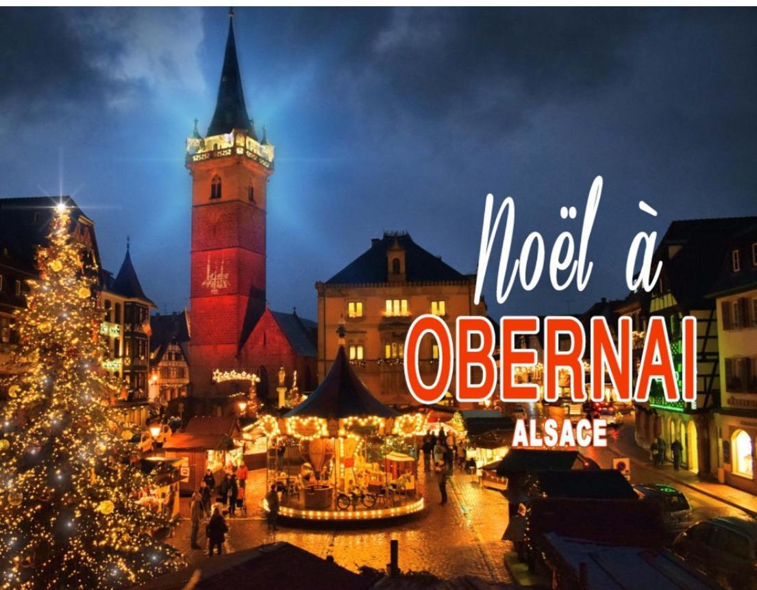 Studio Tout Confort 2 Personnes Au Coeur De L'Alsace Wolxheim Bagian luar foto