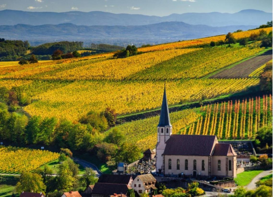 Studio Tout Confort 2 Personnes Au Coeur De L'Alsace Wolxheim Bagian luar foto