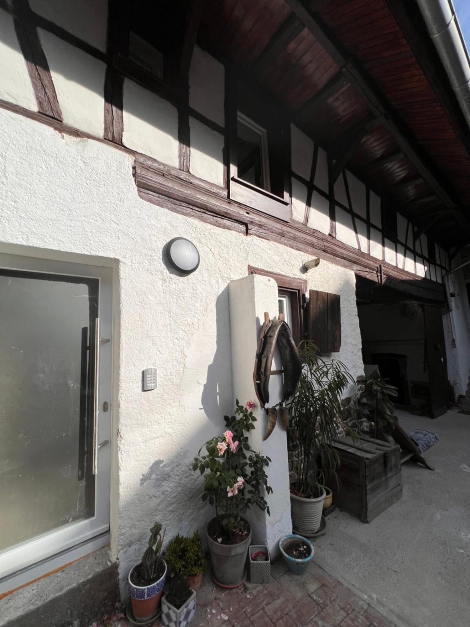 Studio Tout Confort 2 Personnes Au Coeur De L'Alsace Wolxheim Bagian luar foto