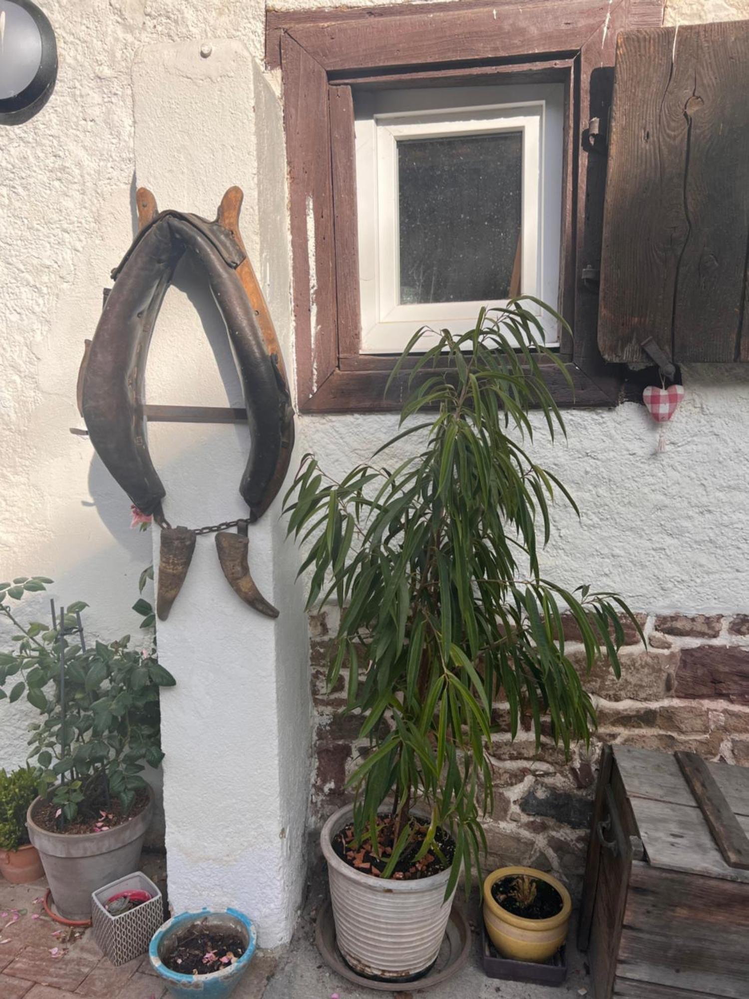 Studio Tout Confort 2 Personnes Au Coeur De L'Alsace Wolxheim Bagian luar foto