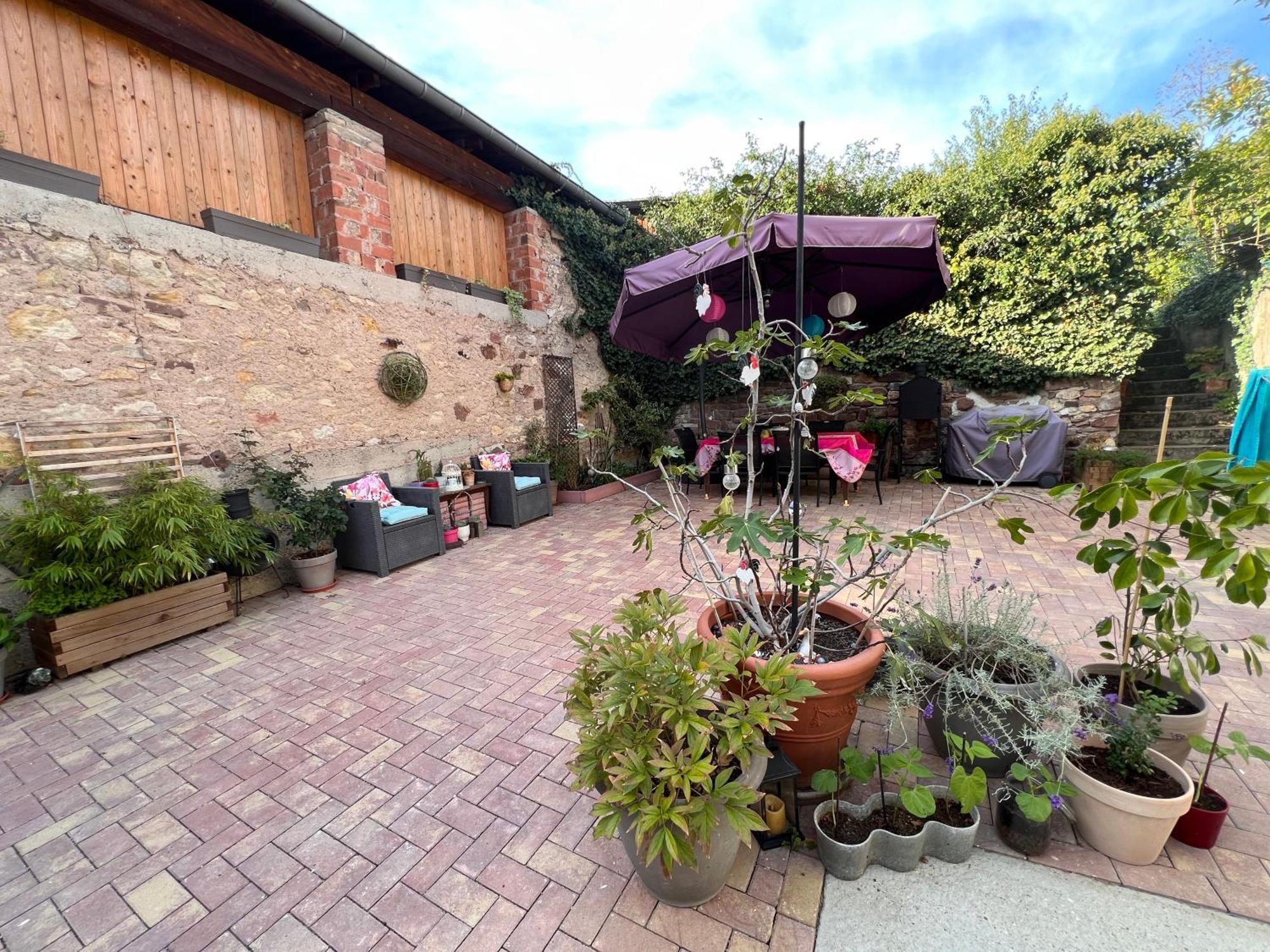 Studio Tout Confort 2 Personnes Au Coeur De L'Alsace Wolxheim Bagian luar foto